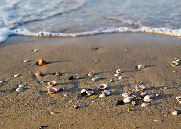 Apartamento In 49970 *